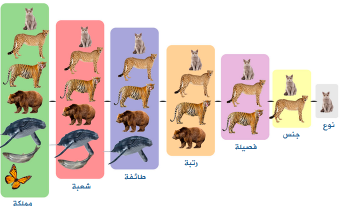 كيف يخدم تصنيف المخلوقات السامة حياتنا؟