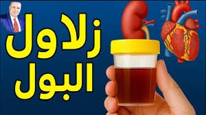 متوازن حول زلال البول (بروتين في البول / Proteinuria